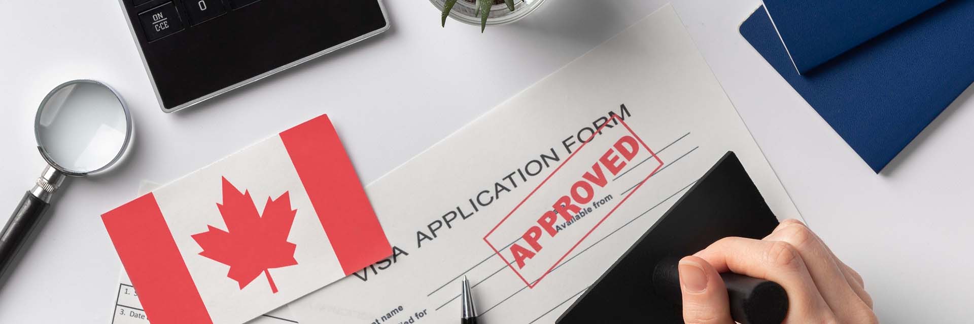 Provincial Nominee Program Lawyers in Calgary, UK & Nigeria – Skilled Immigration with Legal Support